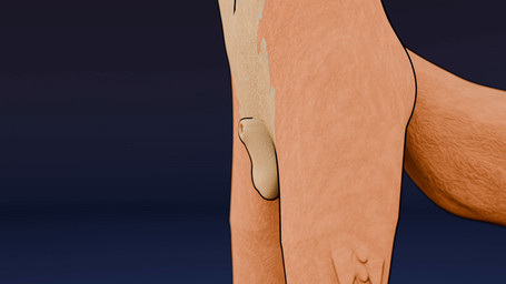 animal_genitalia anthro balls becoming_erect becoming_flaccid blue_penis_tip erection experimental fur genitals humanoid_genitalia humanoid_penis male orange_body orange_fur outline penis presenting presenting_penis sheath solo darkfox12 blender_cycles canid canine fox mammal 16:9 3d_(artwork) 3d_animation 3d_model_showcase animated blender_(artwork) digital_media_(artwork) widescreen