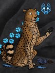 3:4 after_transformation black_pawpads brown_eyes brown_hair cave cheetah claws clothing comic digitigrade felid feline feral footwear hair hi_res human_to_feral jakkal male mammal pawpads paws shoes solo species_transformation surprise torn_clothing transformation
