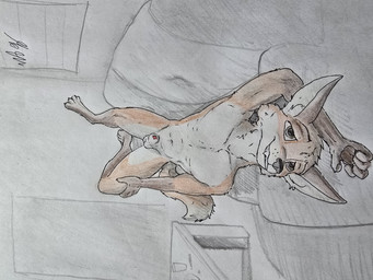 animal_genitalia anthro brown_eyes canine_genitalia furniture genitals male nude presenting smile smiling_at_viewer sofa solo table tail window wolfyalex96 canid canine fox mammal 4:3 absurd_res hi_res traditional_media_(artwork)