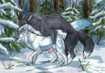 anal anal_penetration animal_genitalia animal_penis blue_eyes blue_markings bodily_fluids canine_genitalia canine_penis cheek_tuft duo erection eyes_closed facial_tuft fangs feral feral_on_feral feral_penetrated feral_penetrating feral_penetrating_feral from_behind_position fur genital_fluids genitals grey_body grey_fur knot knotted_penis male male/male male_feral male_penetrated male_penetrating male_penetrating_male markings mating_grip mounting neck_tuft open_mouth outside penetration penile penile_penetration penis penis_in_ass penis_tip pink_penis plant precum sex sheath snow teeth tongue tongue_out tree tuft whiskers white_body white_fur white_sheath heatherwolf leto_(letodoesart) tannihn canid canine fox mammal