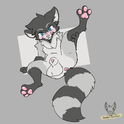 animal_genitalia anthro anus balls big_balls blue_eyes fur genitals grey_body grey_fur lying male on_back pawpads paws pink_nose pink_pawpads sheath solo hayden_fencfoxo kalen_(xenoyia) canid canine hybrid mammal procyonid raccoon raccoon_dog tanuki absurd_res hi_res