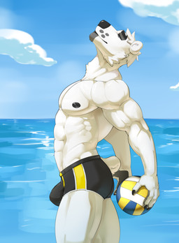 abs anthro athletic black_nose boxers_(clothing) bulge clothing detailed_background eyes_closed fur holding_object male muscular seaside solo sport underwear volleyball white_body white_fur nikrebelis harleo bear mammal polar_bear ursine absurd_res hi_res