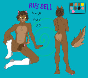 anthro brown_body brown_fur clothing color_swatch curly_hair footwear foreskin fur genitals hair male penis sitting smile socks solo text pecsenjoyer01 canid canine mammal absurd_res english_text hi_res model_sheet