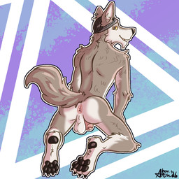 anthro anus backsack balls butt claws clothing ear_piercing feet flaccid foreskin fur genitals hat hat_only headgear headgear_only headwear headwear_only humanoid_genitalia humanoid_penis kneeling looking_at_viewer looking_back male mostly_nude nude pawpads paws penis perineum piercing presenting presenting_hindquarters rear_view simple_background smile solo tail teeth shon_arts epic_games fortnite wendell_(fortnite) canid canine canis mammal wolf 1:1 2026 colored digital_drawing_(artwork) digital_media_(artwork) hi_res shaded signature