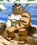 anthro bottomwear clothing cute_fangs detailed_background eyewear fangs footwear glasses kemono male outside overweight overweight_male sandals shoes shorts sitting solo teeth water hon55728 felid mammal pantherine tiger 2025 hi_res