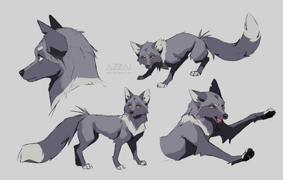 black_nose black_pawpads dipstick_tail female feral fur grey_background grey_body grey_fur grey_markings long_snout markings multiple_poses open_mouth orange_eyes pawpads pink_tongue pose simple_background snout solo standing tail tail_markings tongue azzai canid canine fox mammal red_fox silver_fox true_fox 2019 colored colored_sketch digital_drawing_(artwork) digital_media_(artwork) model_sheet shaded sketch