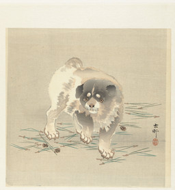 ambiguous_feral ambiguous_gender cjk_character claws curled_tail digitigrade feral finger_claws floppy_ears folded_ears fur paws pine_needles quadruped short_tail simple_background solo standing tail three-quarter_view toe_claws whiskers young young_ambiguous young_feral ohara_koson public_domain canid canine canis domestic_dog mammal 20th_century absurd_res ancient_art hi_res traditional_media_(artwork)