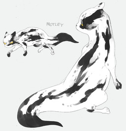 ambiguous_feral ambiguous_gender black_body black_skin black_tail black_tail_tip dipstick_tail feral grey_background markings multicolored_body multicolored_skin simple_background solo tail tail_markings text two_tone_body two_tone_skin two_tone_tail white_body white_skin white_tail yellow_sclera strawgoatcult rain_world videocult fan_character motley_(strawgoatcult) slugcat 2026 character_name digital_drawing_(artwork) digital_media_(artwork)