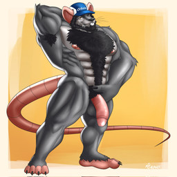 abs anthro areola armpit_hair balls barazoku beard biceps big_muscles big_penis biped black_hair body_hair chest_hair claws clothing facial_hair feet fingers fist flaccid front_view fur genitals glans grey_body grey_fur hair hand_behind_head happy_trail hat hat_only headgear headgear_only headwear headwear_only humanoid_feet humanoid_genitalia humanoid_penis long_tail looking_at_viewer male mostly_nude mostly_nude_male muscular muscular_anthro muscular_arms muscular_legs muscular_male nipples pecs penis plantigrade pose pubes rat_tail seductive simple_background smile smirk solo standing tail text toe_claws toes vein veiny_penis whistle_(object) yellow_eyes tonhawk coach_mika mammal murid murine rat rodent 1:1 2021 artist_name colored full-length_portrait hi_res pinup portrait