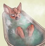 ambiguous_gender anthro bathing bathtub blush brown_body brown_fur fur partially_submerged pink_eyes simple_background solo steam water wet wet_body scruffythedeer cornica_sonoma chinese_water_deer deer mammal water_deer 2021