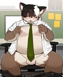 anthro balls blush brown_body clothed clothing detailed_background genitals kemono male necktie open_clothing open_shirt open_topwear overweight overweight_male penis shirt sitting solo tongue tongue_out topwear ssu_open canid canine mammal procyonid raccoon raccoon_dog tanuki 2024 absurd_res hi_res