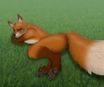 anthro canid canine fluffy fluffy_tail fox grass green_eyes hi_res looking_at_viewer lying male mammal on_side outside pawpads plant rahir_(artist) smile solo tail