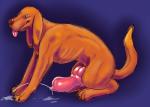 animal_genitalia animal_penis big_knot big_penis bodily_fluids canine_genitalia canine_penis cum erection feral genital_fluids genitals huge_penis hyper knot male penis simple_background smile solo monsterblender canid canine canis domestic_dog mammal