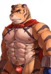 abs anthro biceps bulge cape clothing fur male muscular muscular_anthro muscular_male nipples orange_body orange_fur pecs pubes solo striped_body striped_fur stripes tan_body tan_fur underwear bearwivme build_tiger build_tiger_(character) felid mammal pantherine tiger hi_res