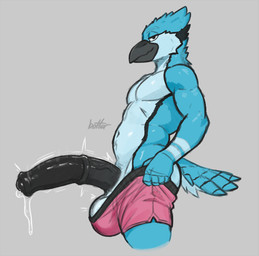 animal_genitalia animal_penis anthro balls beak bedroom_eyes big_balls big_penis black_penis blue_body blue_feathers bodily_fluids boxers_(clothing) boxers_only clothed clothing dripping equine_genitalia equine_penis erection excessive_genital_fluids excessive_precum feathers genital_fluids genitals grey_beak huge_penis inviting looking_at_viewer male male_anthro medial_ring motion_lines muscular muscular_anthro muscular_male narrowed_eyes penis precum precum_drip seductive simple_background solo tail tail_feathers topless underwear underwear_only white_background botter_(artist) bela_(botter_dork) avian bird blue_jay corvid jay_(bird) new_world_jay oscine passerine hi_res portrait three-quarter_portrait