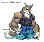 anthro biceps blue_eyes bottomwear brown_body brown_fur clothing countershading fur male muscular muscular_anthro muscular_male simple_background solo topwear white_background wolfmalro vtuber ogami_aratsuka canid canine canis mammal wolf 2021 hi_res