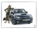 anthro barefoot border car clothed clothing dipstick_tail feet female markings simple_background solo tail tail_markings uniform vehicle white_border kacey subaru subaru_wrx_sti canid canine canis domestic_dog mammal 2009