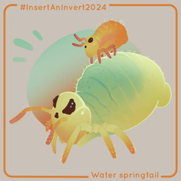6_legs antennae_(anatomy) black_eyes border circle duo female feral gradient_body green_body hashtag larger_female larger_feral lying male markings multi_limb on_back orange_body orange_border riding simple_background size_difference smaller_feral smaller_male splash spots spotted_body text yellow_body cuttledreams arthropod springtail_(species) water_springtail 1:1 2024 dated digital_drawing_(artwork) digital_media_(artwork) english_text species_name watermark