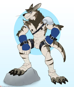 4_toes 5_fingers abs alternate_species animal_genitalia ankle_wraps anthro areola arm_tuft armor balls biceps big_claws big_feet biped black_claws black_finger_claws black_nose black_toe_claws blue_clothing blue_eyes blue_gloves blue_handwear brown_areola brown_hair brown_nipples brown_stripes circle_background claws closed_smile clothing countershade_arms countershade_face countershade_fur countershade_legs countershade_tail countershade_torso countershading dipstick_ears ear_markings elbow_tuft eyebrows fangs feet finger_claws fingerless_gloves fingers fist foot_wraps front_view fully_sheathed fur genitals gloves gradient_background hair handwear humanoid_hands leg_belt long_ears looking_at_viewer male male_anthro markings mostly_nude_anthro mostly_nude_male mouth_closed multicolored_body multicolored_ears multicolored_fur muscular muscular_anthro muscular_male neck_tuft nipples patreon_logo patreon_username pauldron pawpads pecs plantigrade rock sheath simple_background smile smiling_at_viewer solo standing striped_body striped_fur striped_markings striped_tail stripes tail tail_markings teeth text thigh_belt three-quarter_view toeless_(marking) toes tuft whiskers white_body white_countershading white_fur wraps wrist_belt spelunker_sal bandai_namco digimon patreon tiberius_thicktail digimon_(species) hybrid mammal mustelid otter weregarurumon artist_name digital_drawing_(artwork) digital_media_(artwork) flat_colors full-length_portrait hi_res portrait