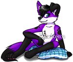 anthro black_hair black_nose black_paws blue_eyes floppy_ears footprint fur hair male markings pawprint pawprint_(marking) paws pillow purple_body purple_fur sitting solo white_body white_fur pocketdemon pawalo canid canine canis domestic_dog elkhound mammal spitz