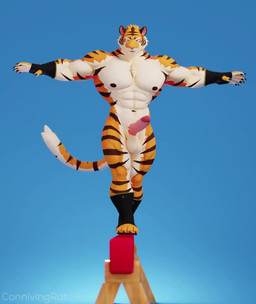 4_toes 5_fingers abs anthro areola balancing ballbusting balls biceps big_muscles big_pecs big_penis black_nipples bottomwear claws clothing cock_and_ball_torture erection feet fingerless_gloves fingers footwear fur genital_torture genitals glans gloves gym handwear humanoid_genitalia humanoid_penis instant_erection male mostly_nude mostly_nude_anthro mostly_nude_male muscular muscular_anthro muscular_male muscular_thighs nipples paws pecs penis pink_glans pink_penis socks solo striped_body stripes tail toeless_footwear toes white_balls white_body white_fur connivingrat stead_(connivingrat) felid mammal pantherine tiger 3d_(artwork) 3d_animation animated digital_media_(artwork) high_framerate no_sound short_playtime webm
