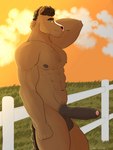 abs anthro balls body_hair brown_balls brown_body brown_eyebrows brown_hair brown_nipples brown_penis brown_tail chest_hair cloud curled_hair erection eyebrows fence fencepost fist foreskin fur genitals glans grass grass_field green_eyes hair hand_behind_head humanoid_genitalia humanoid_penis light looking_at_viewer male medial_ring muscular nipples nude orange_sky outdoor_nudity outside pecs penis pink_glans pink_nose plant pubes raised_arm side_view sky solo sunlight tail white_body white_fence white_fur darebearart equid equine horse mammal 2024 3:4 absurd_res hi_res