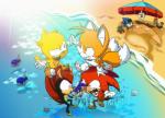 anthro barefoot beach bite black_body black_fur chicken_fight facial_hair feet fur group machine male mostly_nude mustache red_body red_fur seashell seaside shell teeth water yellow_body yellow_fur linaprime sega sonic_the_hedgehog_(series) dr._eggman knuckles_the_echidna mighty_the_armadillo miles_prower ray_the_flying_squirrel sonic_the_hedgehog armadillo canid canine chop_chop echidna eulipotyphlan fish fox hedgehog human mammal marine monotreme robot rodent sciurid tree_squirrel xenarthran