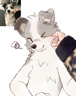 4_fingers ambiguous_gender anthro black_eyes black_nose cute_fangs disembodied_hand duo face_squish fangs fingers floppy_ears fur grey_body grey_fur kemono looking_at_viewer male one_eye_closed simple_background squish teeth tuft white_background white_body white_fur young young_anthro young_male arnd_dawn canid canine canis domestic_dog herding_dog human mammal pastoral_dog sheepdog absurd_res colored colored_sketch digital_drawing_(artwork) digital_media_(artwork) hi_res reference_image sketch