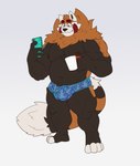 anthro balls beverage big_balls big_bulge big_penis bulge coffee genitals male pecs penis purple_eyes slightly_chubby slightly_chubby_male solo mafekoba kobato_(mafekoba) ailurid bear mammal red_panda hi_res