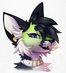 anthro black_body black_ears black_eyes black_fur black_hair black_nose black_tongue blue_pupils cheek_tuft collar ear_piercing facial_tuft fangs female fur gauged_ear glistening glistening_eyes green_body green_fur hair hair_over_eye inner_ear_fluff looking_at_viewer narrowed_eyes neck_tuft one_eye_obstructed open_mouth open_smile piercing pupils simple_background smile solo teeth tongue tuft white_background white_body white_collar white_fur white_inner_ear_fluff bloominglynx 2021 bust_portrait hi_res portrait signature traditional_media_(artwork)