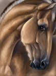 amber_eyes ambiguous_gender feral looking_at_viewer solo voronasasha arvakr draft_horse equid equine fjord_horse horse mammal bust_portrait hi_res portrait male_(lore)