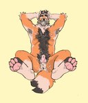 animal_genitalia animal_penis anthro arm_tuft armpit_hair ball_tuft balls beard belly_hair black_hair blue_eyes bodily_fluids body_hair butt butt_hair canine_genitalia canine_penis chest_hair dripping elbow_tuft erection facial_hair feet genital_fluids genitals greying_hair hair hairy hairy_balls hands_behind_head high-angle_view legs_up looking_at_viewer lying male manly mature_male mustache navel nipples on_back penis perineum precum precum_drip pubes reclining simple_background slightly_chubby solo tuft corruptedsnout canid canine fox mammal 2024 hi_res