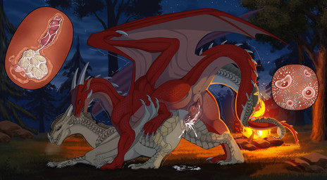 anus belly big_belly bite bodily_fluids bonfire campfire cum cum_in_vagina cum_inside cutaway duo egg egg_in_uterus entwined_tails fallopian_tubes female female_feral female_penetrated feral feral_on_feral feral_penetrated feral_penetrating feral_penetrating_feral forest forest_background genital_fluids genitals impregnation internal internal_vaginal male male/female male_feral male_penetrating male_penetrating_female multiple_ova nature nature_background neck_bite night outside_sex ovaries ovum passionate penetration penile penile_penetration penis penis_in_vagina plant pregnant pregnant_female pregnant_feral pregnant_sex sex shaking sperm_cell superfetation tail tail_coil tree trembling vaginal vaginal_penetration vulva owl_light european_mythology mythology wings_of_fire dragon mythological_creature mythological_scalie sandwing_(wof) scalie western_dragon hi_res