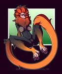 annie_norell anthro anus black_body black_fur breasts erect_nipples eyebrows female fur genitals hair long_eyebrows long_tail looking_at_viewer mane neck_tuft nipples orange_body orange_fur orange_hair pussy smile smiling_at_viewer smirk solo spread_legs spreading tail tuft hazelkisses callitrichid haplorhine mammal monkey new_world_monkey primate tamarin 2020