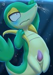 anthro asphyxiation cyanosis drowning genitals imminent_death male penis slit_penis solo taking_in_water underwater water revous nintendo pokemon generation_5_pokemon pokemon_(species) snivy