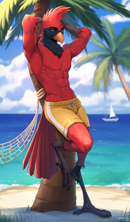 abs anthro beak biped claws clothed clothed_anthro clothed_male clothing cloud day feathers feet front_view looking_at_viewer male navel outside plant scutes sea sky smile solo standing tail toes tree water mergremil avian bird 2026 absurd_res digital_drawing_(artwork) digital_media_(artwork) hi_res
