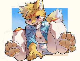 anthro balls bulge clothed clothing countershading detailed_bulge fangs feet foot_focus genitals kemono leaning leaning_forward lidded_eyes looking_at_viewer male navel open_clothing open_mouth open_shirt open_topwear pawpads purple_eyes shirt solo teeth topwear young young_anthro young_male gbarrr1 mammal 2025 chinese_description hi_res