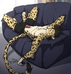 anthro bulge clothed clothing erection eyes_closed eyewear fur furniture genitals glasses humanoid_genitalia humanoid_penis inside male markings on_sofa partially_clothed penis penis_poking_out sleeping sofa solo spots spotted_body spotted_fur underwear underwear_only yellow_body yellow_fur angiewolf cheetah felid feline mammal 2023 hi_res