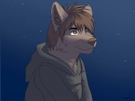 4:3 anthro brown_body brown_eyes brown_fur brown_hair brown_nose canid canine canis chest_tuft clothed clothing detailed_background digital_media_(artwork) fur gorsha_pendragon hair hood hoodie keidran light male mammal night outside robe shaded short_hair sky solo star starry_sky topwear tuft twokinds watermark wolf zen_(twokinds)