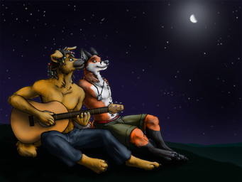 acoustic_guitar anthro bottomwear clothed clothing dreadlocks duo guitar male musical_instrument night outside playing_guitar playing_music plucked_string_instrument romantic romantic_ambiance romantic_couple shorts sitting sky star stargazing starry_sky string_instrument tail topless fuckie canid canine canis domestic_dog fox mammal red_fox true_fox 2011 4:3