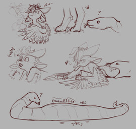 anthro anthro_prey death digestion digestion_noises fatal_vore feral feral_pred larger_feral larger_pred oral size_difference smaller_anthro vore avali reptile scalie snake absurd_res hi_res