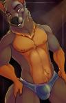 anthro biped bite biting_lip biting_own_lip black_background black_claws black_nose briefs brown_body brown_fur brown_nipples bulge claws clothed clothing eyebrows front_view fur grey_body grey_fur grey_tail head_tuft looking_at_viewer male multicolored_body multicolored_fur neck_tuft nipples pose self_bite simple_background snout solo standing tail teeth topless tuft two_tone_body two_tone_fur underwear yellow_eyes fcsimba riley-doge canid canine canis domestic_dog german_shepherd herding_dog mammal pastoral_dog 2017 digital_media_(artwork) hi_res pinup portrait three-quarter_portrait