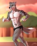 5_fingers abs anthro claws clothing dipstick_tail fingers fur male markings multicolored_body muscular muscular_anthro muscular_male orange_eyes outside running solo tail tail_markings tattoo two_tone_body two_tone_tail feralise gogowolf canid canine canis mammal wolf 2019 4:5 digital_media_(artwork)