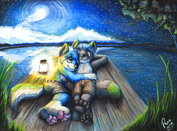 anthro anthro_on_anthro black_nose blue_body blue_eyes blue_fur blue_hair bottomwear brown_bottomwear brown_clothing brown_shorts closed_smile clothed clothing duo fur glistening glistening_eyes grass grey_body grey_fur grey_pawpads hair hug logo lying male male/male male_anthro moon mouth_closed night on_back on_side outside pawpads pink_pawpads plant short_hair shorts smile star topless tree water white_body white_fur pandapaco canid canine mammal artist_logo signature
