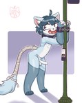 anthro blue_body blue_fur blue_hair bound crosswalk cuffed_wrists exhibitionism foreskin fur genitals hair kemono lightpole long_tail male open_mouth penis public public_nudity scared_face tail wrapped_tail misterdonut frosh_(furoroshu) felid feline mammal hi_res