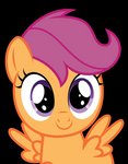 female feral fur hair orange_body simple_background smile smiling_at_viewer solo spread_wings svg transparent_background vector wings young sollace friendship_is_magic hasbro my_little_pony mythology scootaloo_(mlp) equid equine mammal mythological_creature mythological_equine pegasus absurd_res alpha_channel hi_res