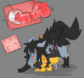 abdominal_bulge all_fours animal_genitalia animal_penis ass_up blush blush_lines bodily_fluids canine_genitalia canine_penis cervical_penetration cervix claws cum cum_drip cum_from_vagina cum_in_uterus cum_in_vagina cum_inside doggystyle dripping duo erection female female_penetrated feral from_behind_position genital_fluids genitals impregnation impregnation_view internal internal_vaginal knot knotted_penis large_penetration larger_male leaking_cum legs_lifted legs_up male male/female male_penetrating male_penetrating_female multiple_impregnation multiple_ova off_the_ground open_mouth ovum paws penetration penile penile_penetration penis penis_in_vagina sex size_difference smaller_female sperm_cell spread_legs spreading tail thrust_lines tongue uterus vaginal vaginal_fluids vaginal_penetration vulva shinyumbre nintendo pokemon fan_character generation_3_pokemon generation_4_pokemon luxio mightyena pokemon_(species) shiny_pokemon hi_res