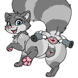 animal_genitalia animal_vulva anus canine_genitalia canine_vulva disembodied_hand female feral fur genitals grey_body grey_fur hand_on_butt holding_butt one_leg_up presenting raised_leg rear_view short_stack spread_anus spreading xenoyia kalen_(xenoyia) canid canine hybrid mammal procyonid raccoon raccoon_dog tanuki 1:1 digital_media_(artwork) low_res oekaki pawprint.ing_(artwork)