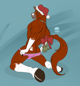 anthro bow_ribbon briefs briefs_pull christmas_clothing christmas_headwear clothing hat headgear headwear holidays male mistletoe mistletoe_on_tail plant santa_hat solo tail teasing teasing_viewer teasing_with_butt underwear diddydoo christmas equid equine horse mammal hi_res