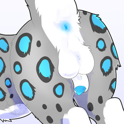 animal_genitalia anus backsack balls blue_markings butt feral genitals mac_(shuttleu) male markings penis rear_view sheath solo noodlethings felid mammal pantherine snow_leopard 1:1 absurd_res hi_res